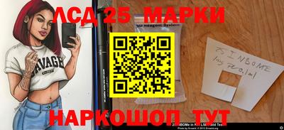 СК Абакан